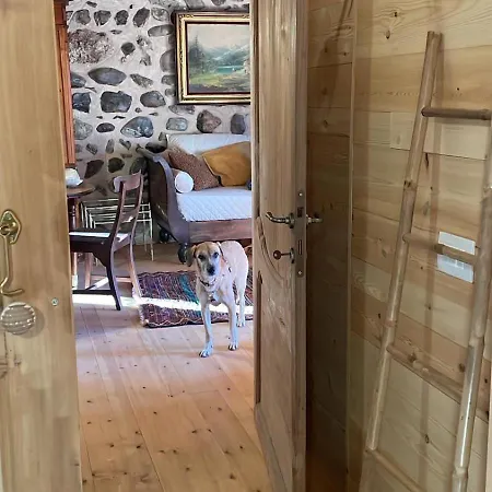 La Ca Di Tonia E Abigaille Апартаменты *